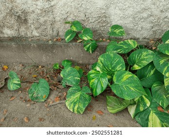 注册平台送58彩金,助你轻松赢取丰厚奖励