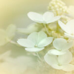 2025年最新开奖资料及结果查询完整汇总 15wqsc