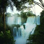 2025年福彩双色球第147期开奖结果权威发布 2g2sr