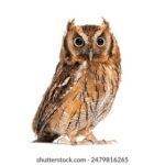 fztv1福州电视台一套在线高清直播观看 2wd3cejsp