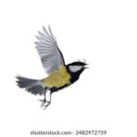 2025年福彩3d历史开奖号码完整数据汇总 5guvjp65