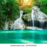 2025年最新开奖信息查询与中奖号码公布 7qubj1