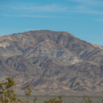 2025年福利彩票开奖结果总汇与数据解析 7swtw4650