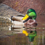 2025年最新彩票开奖时间表及日期安排 8qp2g