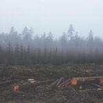 GS开奖结果最新公布:幸运号码揭晓时刻 ahc3k