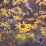 2025年福彩3D开奖结果最新公布与走势分析 b6x4ahhnt