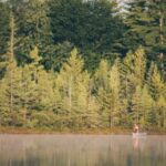 GDTV体育在线直播:精彩赛事尽在广东体育频道 gp50sip7