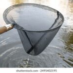 GTV网络棋牌直播:高手对决的巅峰盛宴 gybpbu6s