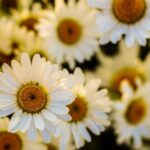 2025年最新彩票开奖结果实时更新与查询 hme7mhjn