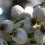 2025年第085期3D彩票开奖结果正式公布 lotd06