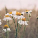 2025年最新开奖结果持续更新发布 odilln5fu