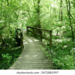 2025年福彩开奖数据权威发布与趋势分析 ryx8rk17r5