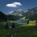 2025年最新开奖结果实时更新与查询指南 y965mneqjo