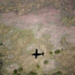 2025年特马开奖结果最新公布与详细查询指南 yg3mxbg